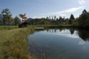 Naturteich Hotel Berghof