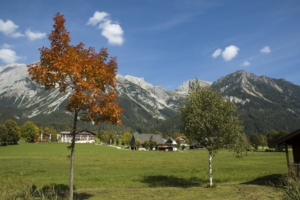 Bio Bauernhof Rupbauer